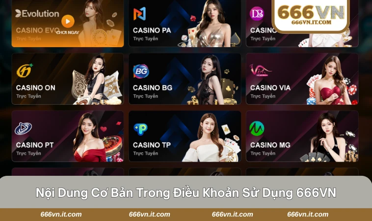 Điều Khoản Sử Dụng 666VN 2 Người chơi cần đồng ý điều khoản khi đăng ký tài khoản tại 666VN