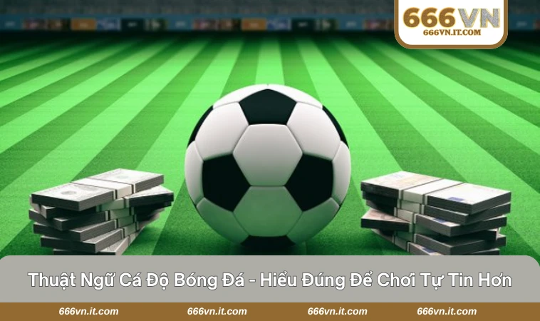 Thuật Ngữ Cá Độ Bóng Đá - Hiểu Đúng Để Chơi Tự Tin Hơn 9 thuật ngữ cá độ bóng đá